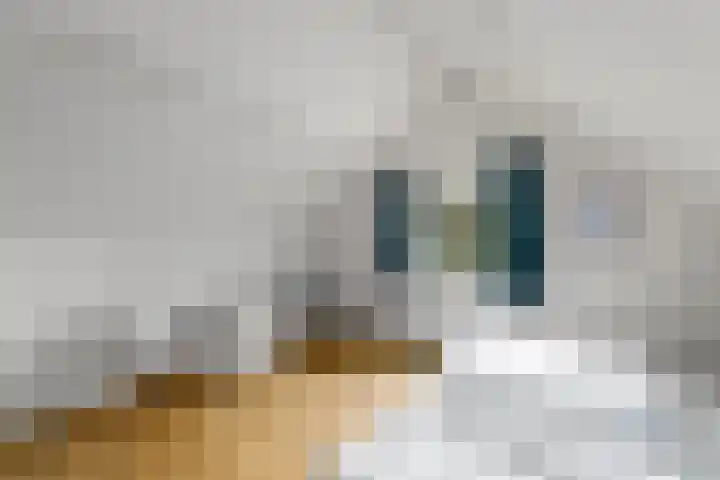 Het Bosmeer 23 Noordwolde thumbnail 19
