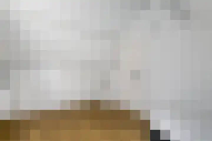 Het Bosmeer 23 Noordwolde thumbnail 22