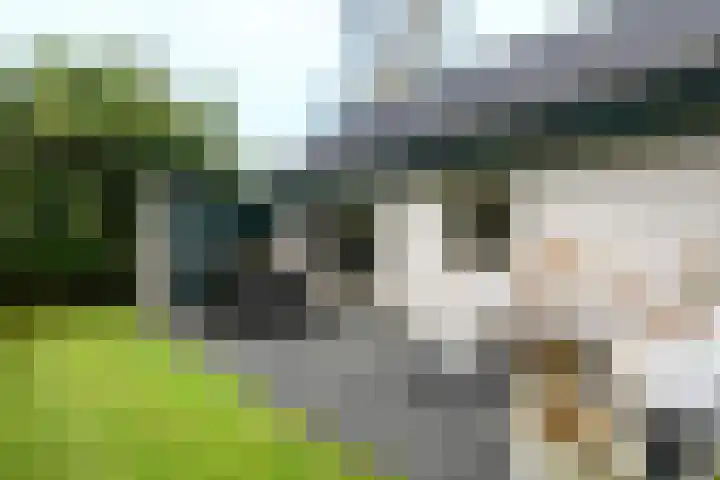 Het Bosmeer 23 Noordwolde thumbnail 23