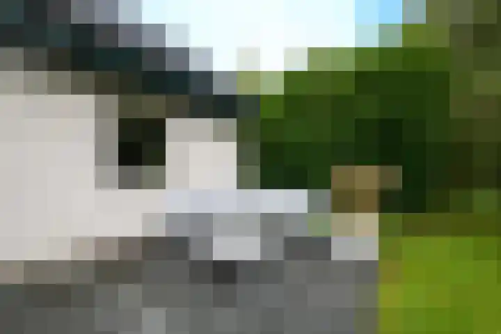 Het Bosmeer 23 Noordwolde thumbnail 26