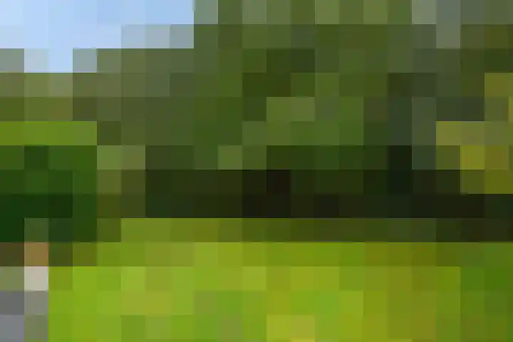 Het Bosmeer 23 Noordwolde thumbnail 27
