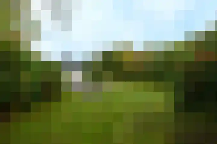 Het Bosmeer 23 Noordwolde thumbnail 28