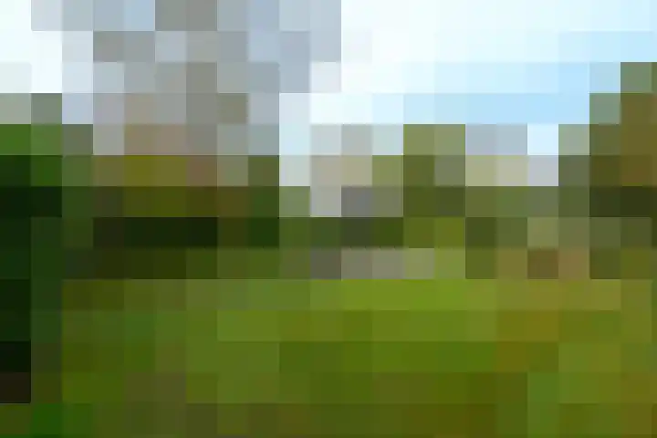 Het Bosmeer 23 Noordwolde thumbnail 29
