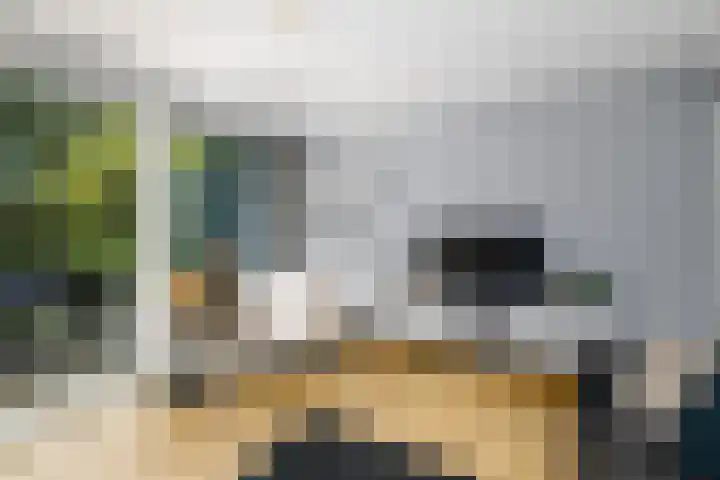 Het Bosmeer 23 Noordwolde thumbnail 5