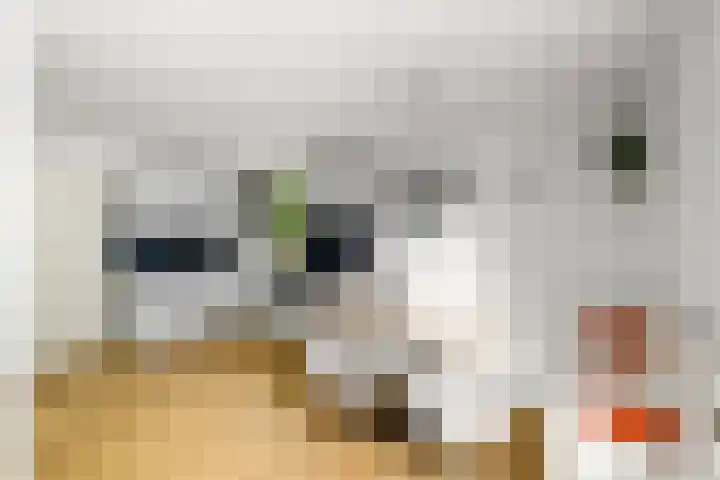 Het Bosmeer 23 Noordwolde thumbnail 8