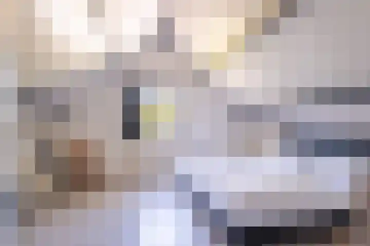 Het Bosmeer 30 Noordwolde thumbnail 21