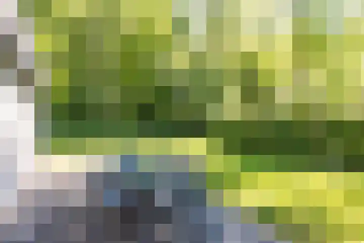 Het Bosmeer 30 Noordwolde thumbnail 23
