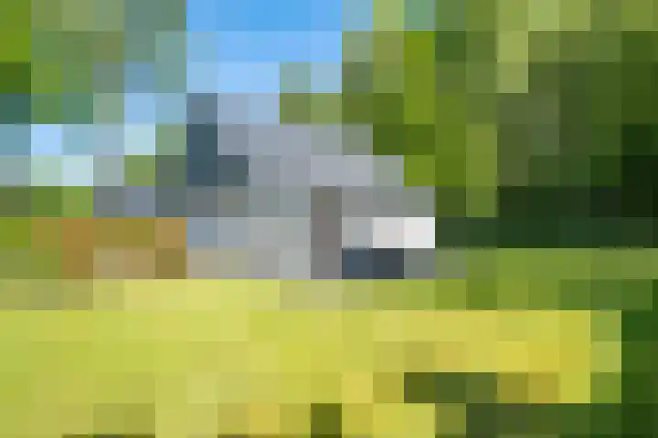 Het Bosmeer 30 Noordwolde thumbnail 25