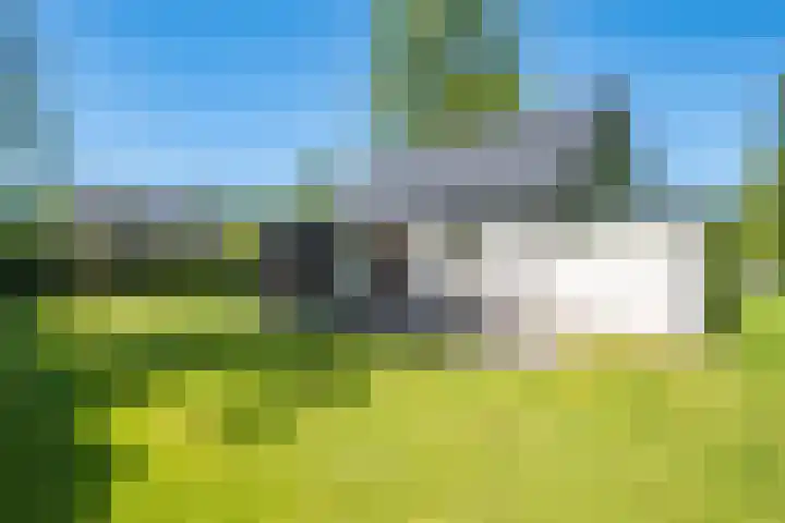 Het Bosmeer 30 Noordwolde thumbnail 26