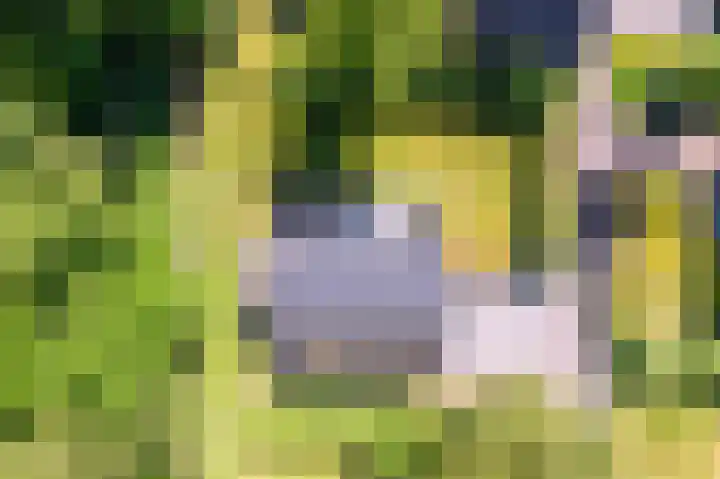 Het Bosmeer 30 Noordwolde thumbnail 27