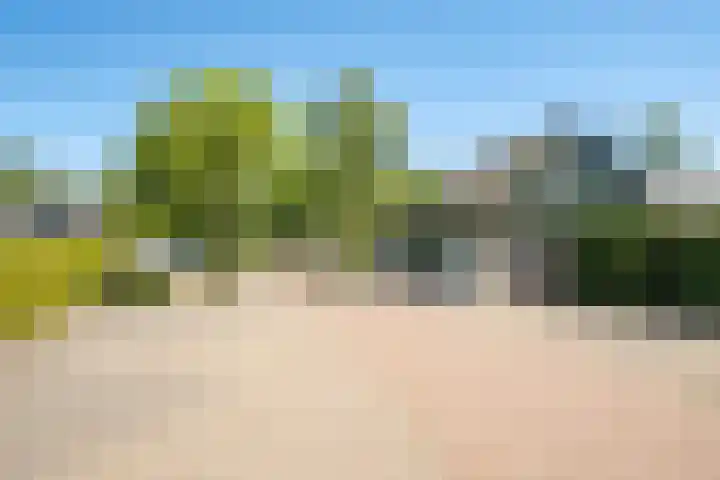 Het Bosmeer 30 Noordwolde thumbnail 29