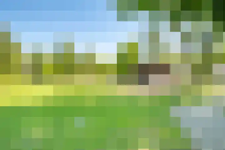 Het Bosmeer 30 Noordwolde thumbnail 31