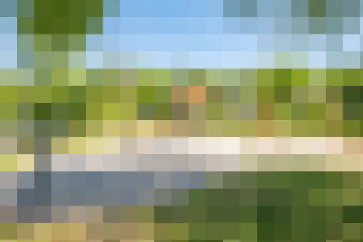 Het Bosmeer 30 Noordwolde thumbnail 33