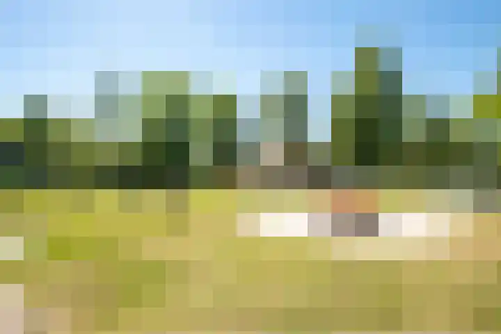 Het Bosmeer 30 Noordwolde thumbnail 35