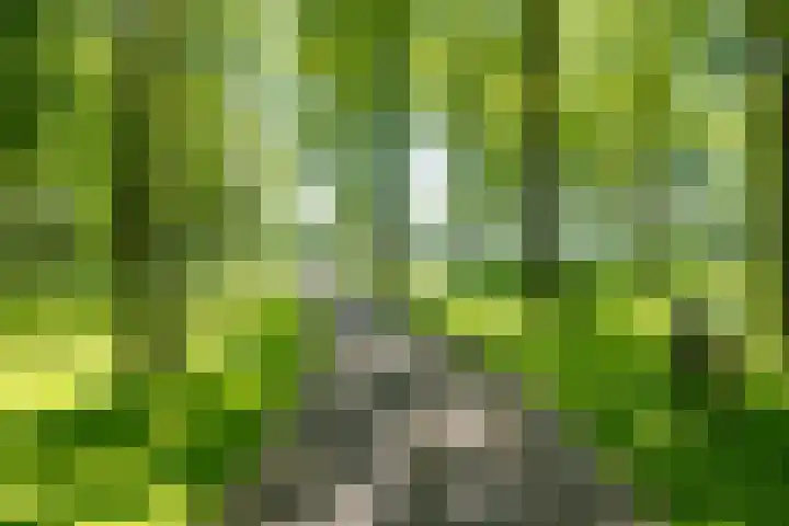 Het Bosmeer 30 Noordwolde thumbnail 38