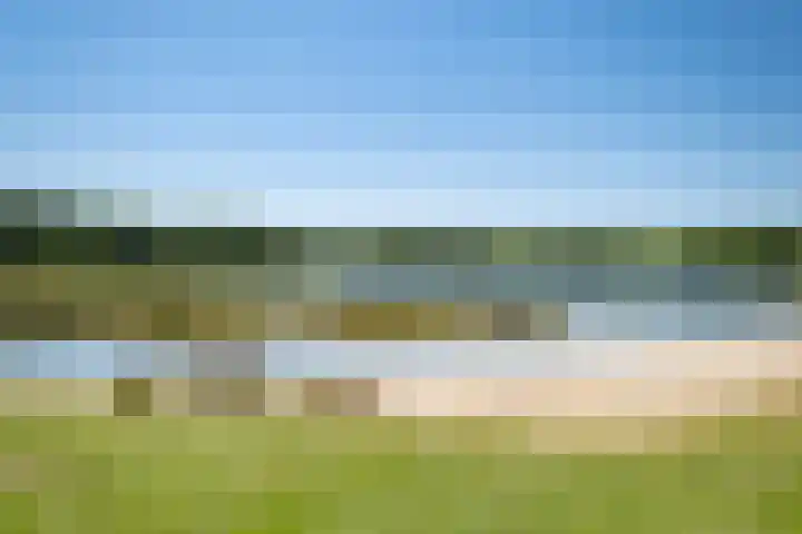 Het Bosmeer 30 Noordwolde thumbnail 39