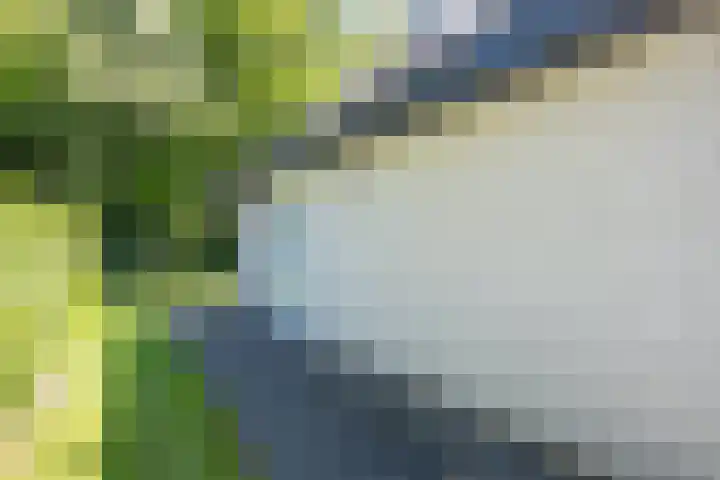 Het Bosmeer 30 Noordwolde thumbnail 4