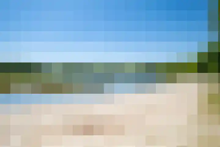 Het Bosmeer 30 Noordwolde thumbnail 40