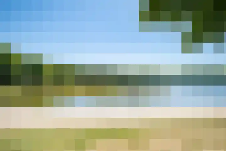 Het Bosmeer 30 Noordwolde thumbnail 41