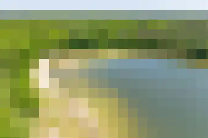 Het Bosmeer 30 Noordwolde thumbnail 43