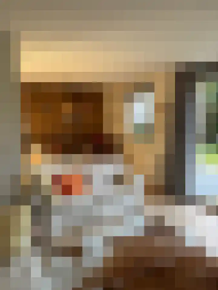 Het Bosmeer 32 Noordwolde thumbnail 12