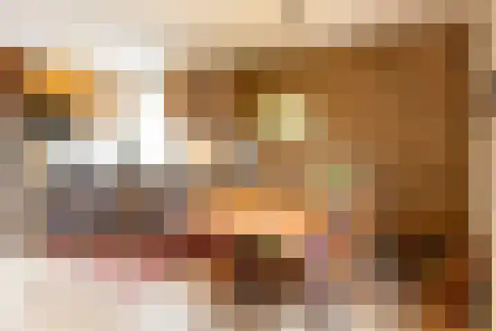 Het Bosmeer 32 Noordwolde thumbnail 5