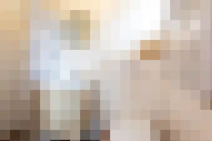 Het Bosmeer 32 Noordwolde thumbnail 8
