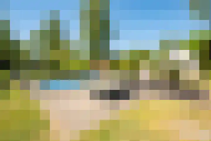 Het Bosmeer 41 Noordwolde thumbnail 33
