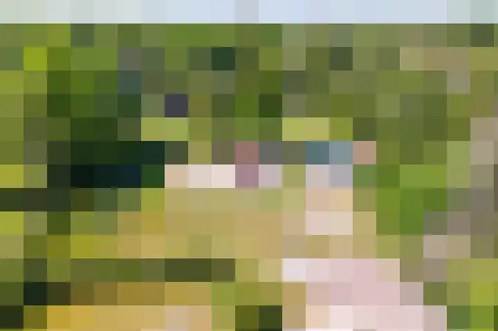 Het Bosmeer 41 Noordwolde thumbnail 35