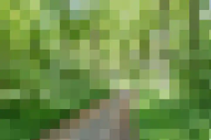 Het Bosmeer 41 Noordwolde thumbnail 36