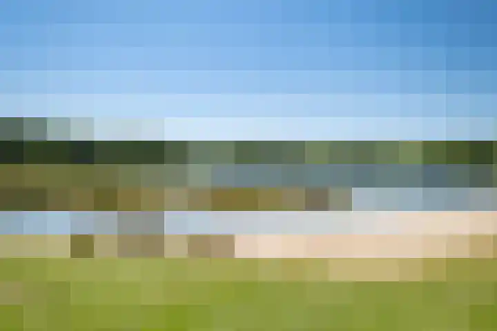 Het Bosmeer 41 Noordwolde thumbnail 38