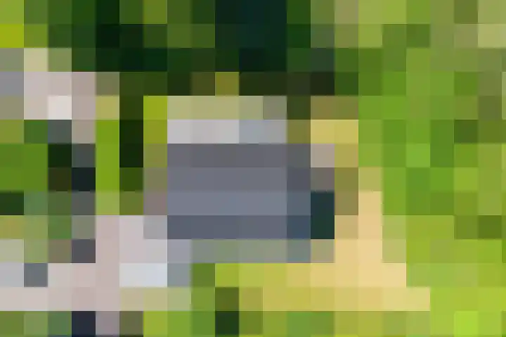 Het Bosmeer 41 Noordwolde thumbnail 8