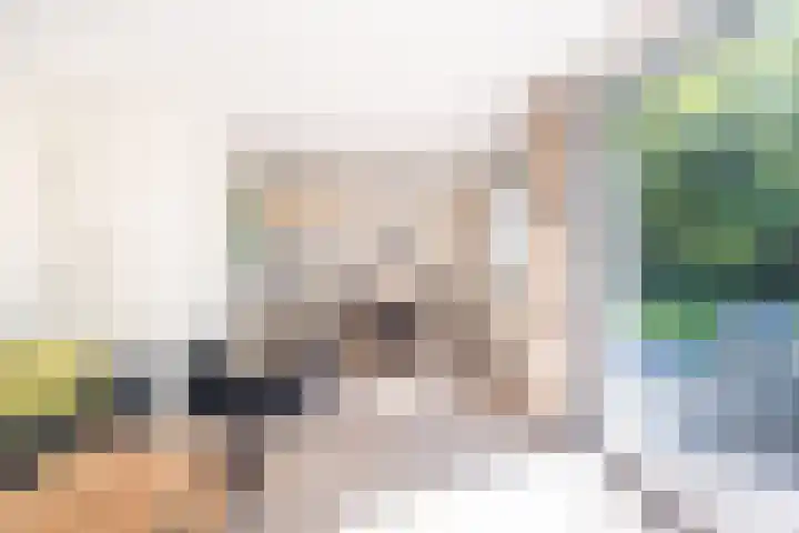 Het Bosmeer 5 Noordwolde thumbnail 12