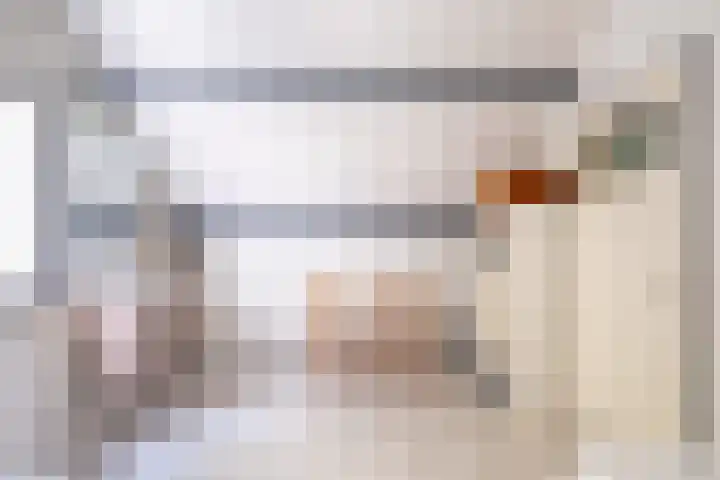 Het Bosmeer 5 Noordwolde thumbnail 18