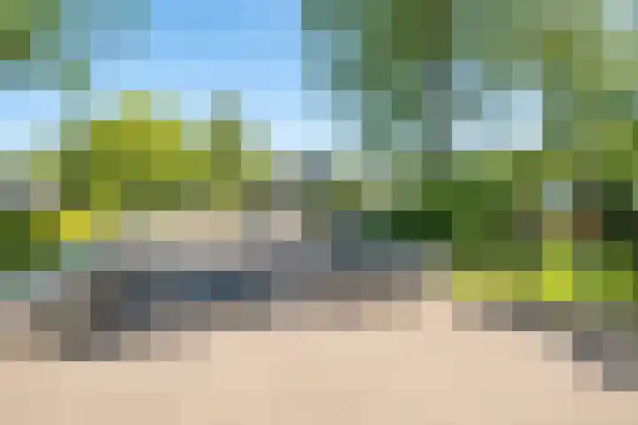 Het Bosmeer 5 Noordwolde thumbnail 22