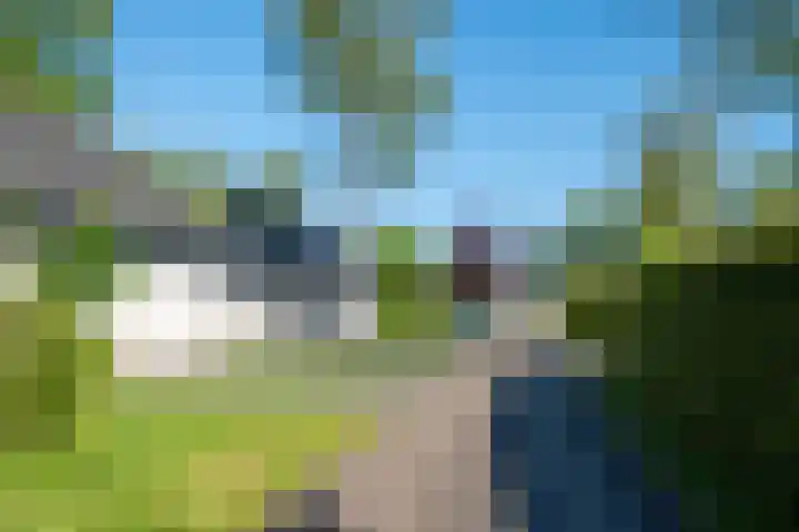 Het Bosmeer 5 Noordwolde foto 3