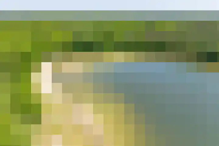 Het Bosmeer 5 Noordwolde thumbnail 37