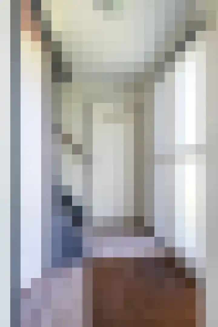 Het Bosmeer 5 Noordwolde thumbnail 4