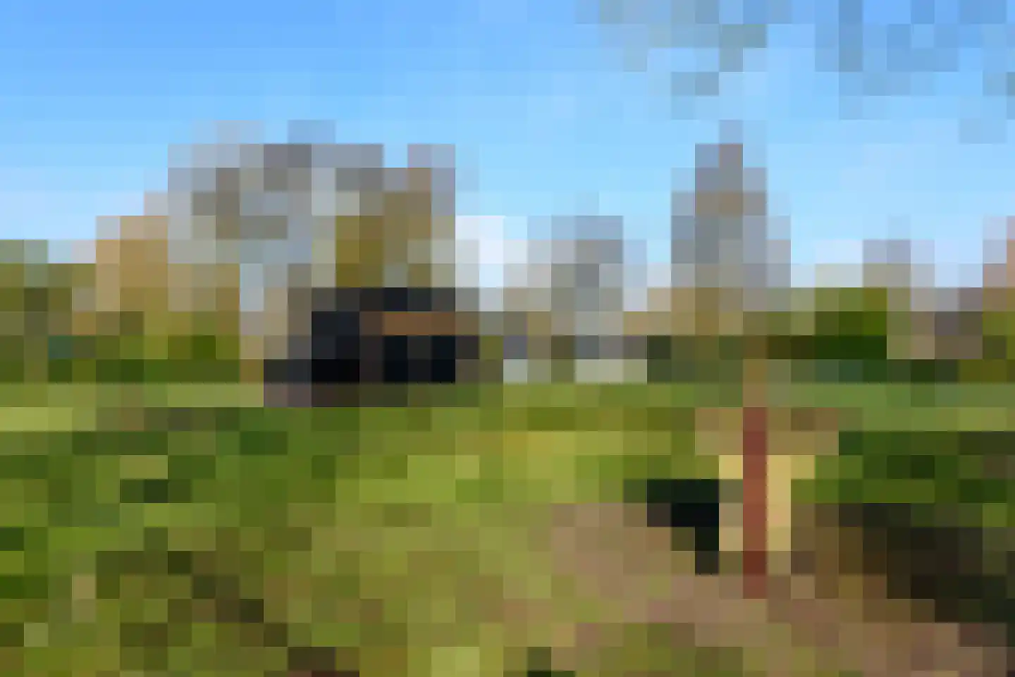 Het Bosmeer 58 Noordwolde thumbnail 31