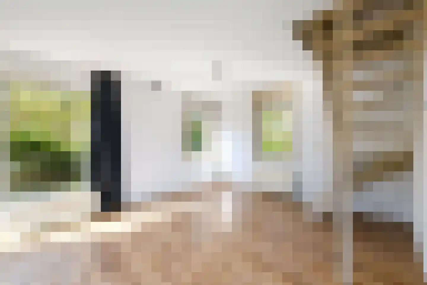 Het Bosmeer 58 Noordwolde thumbnail 9