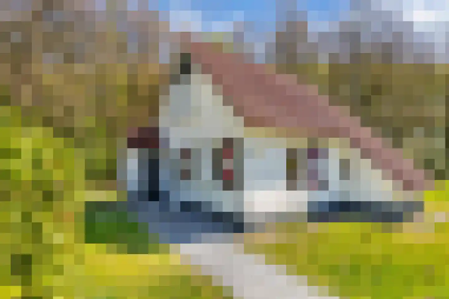 Het Bosmeer 63 Noordwolde