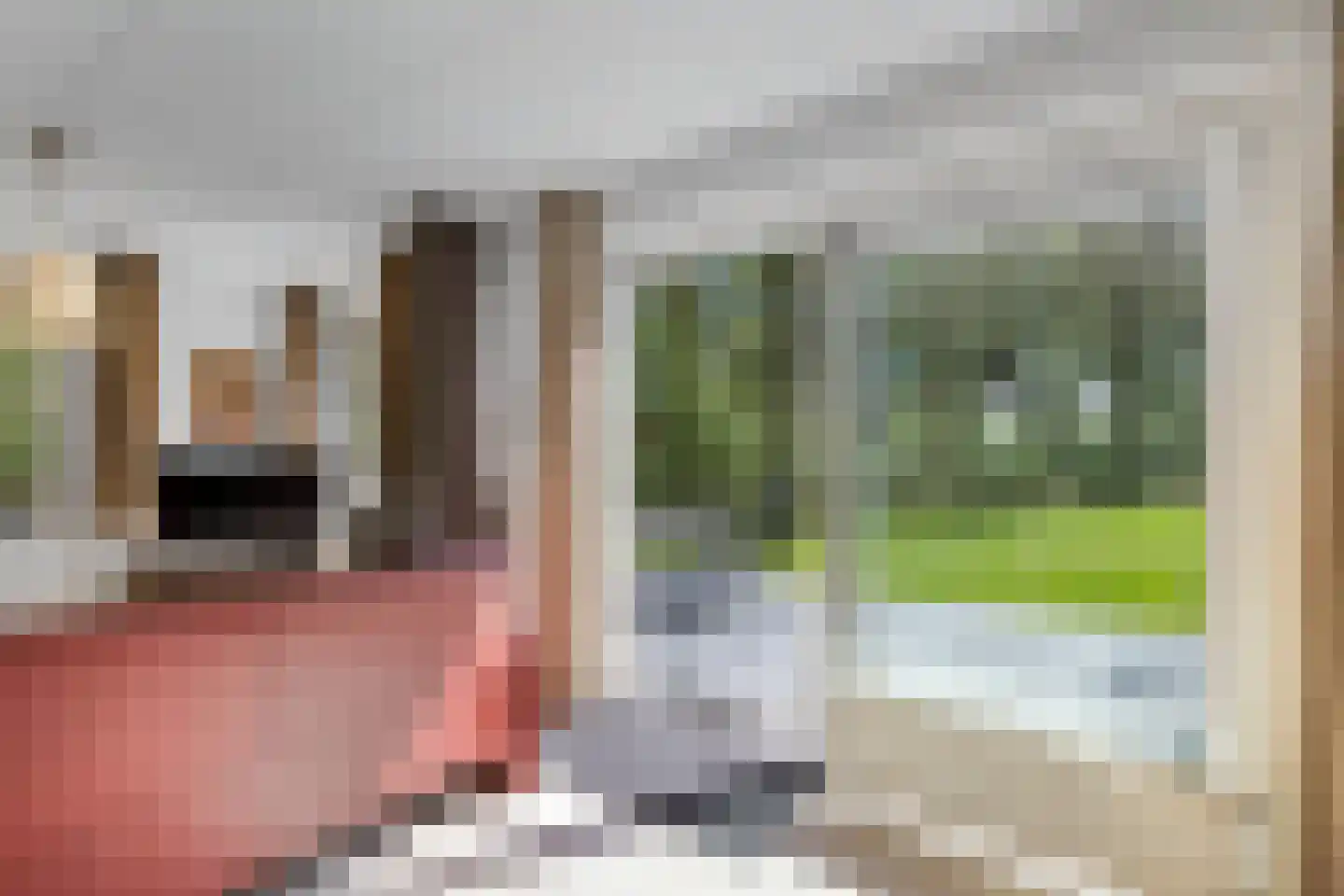 Het Bosmeer 63 Noordwolde thumbnail 18