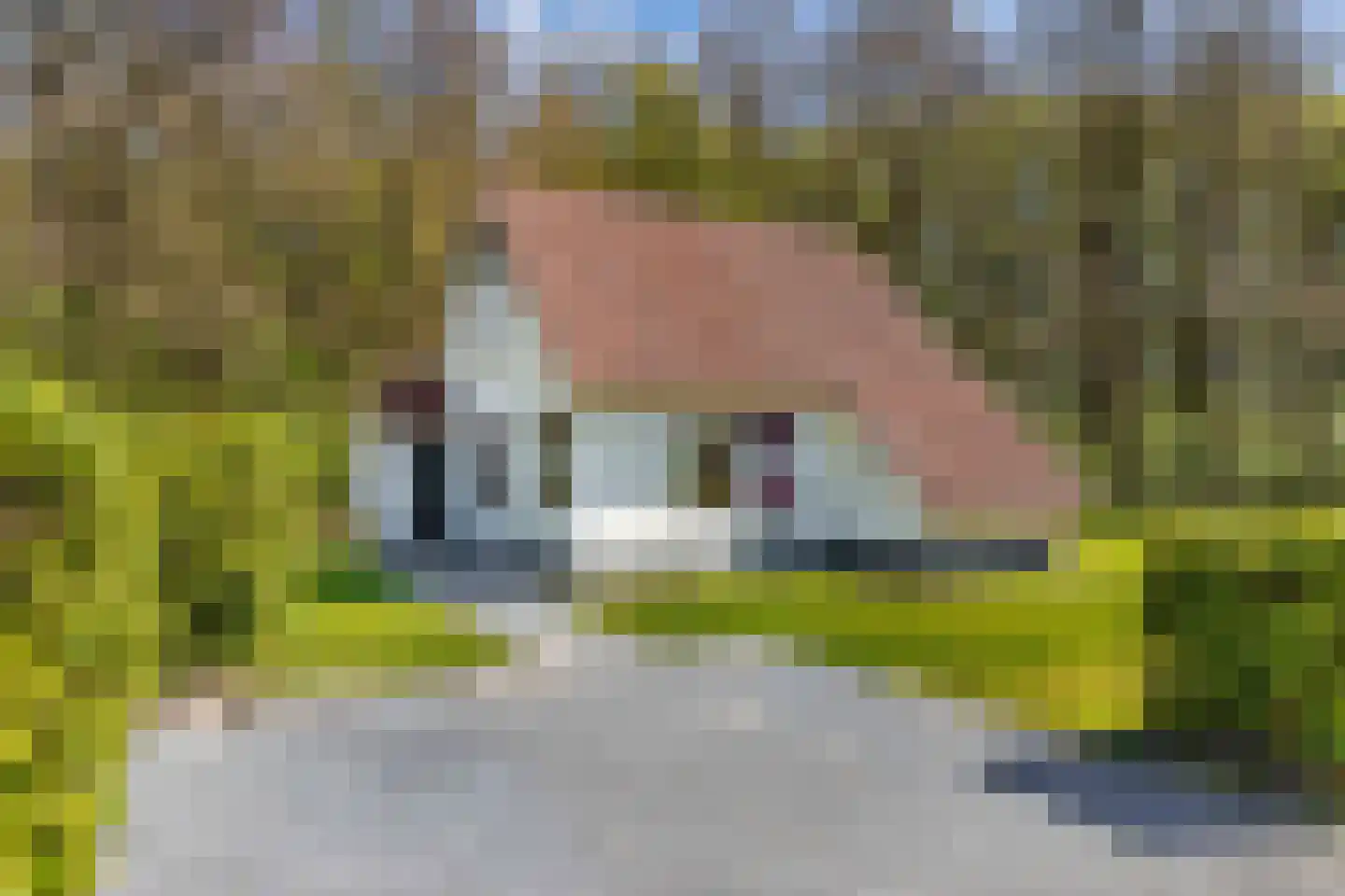 Het Bosmeer 63 Noordwolde thumbnail 29