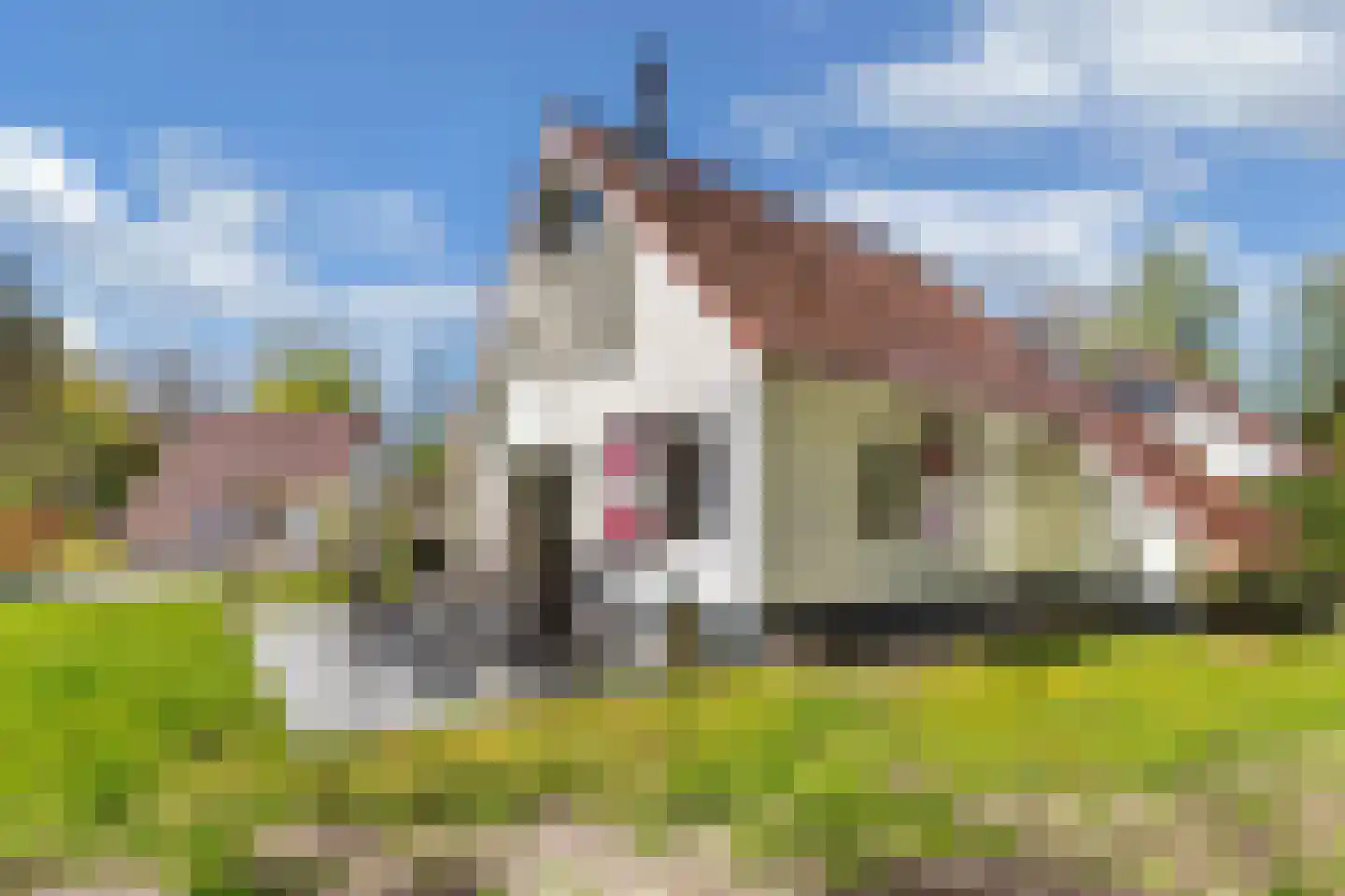 Het Bosmeer 63 Noordwolde thumbnail 31