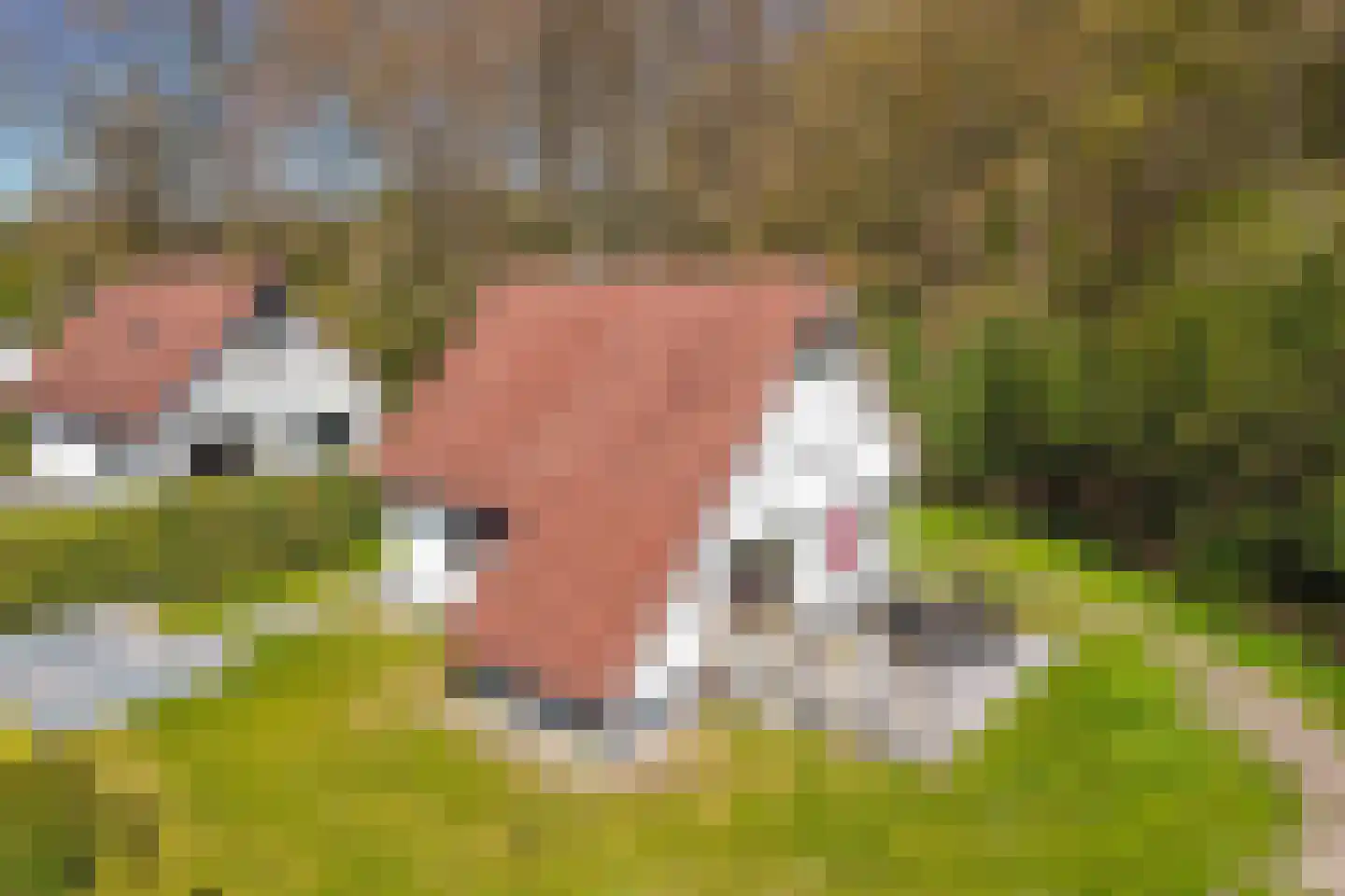 Het Bosmeer 63 Noordwolde thumbnail 32