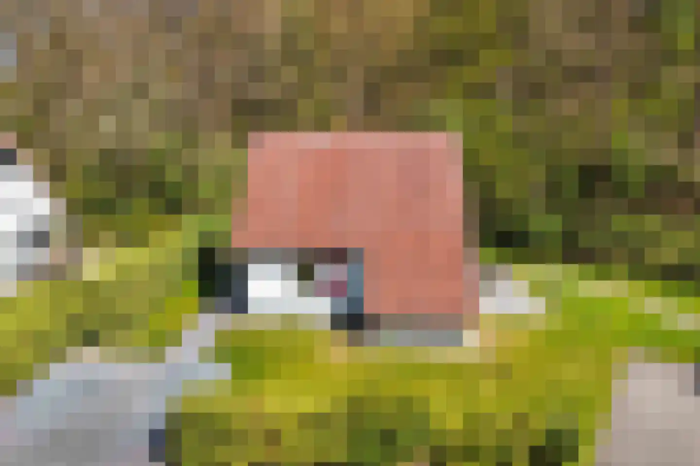 Het Bosmeer 63 Noordwolde thumbnail 33