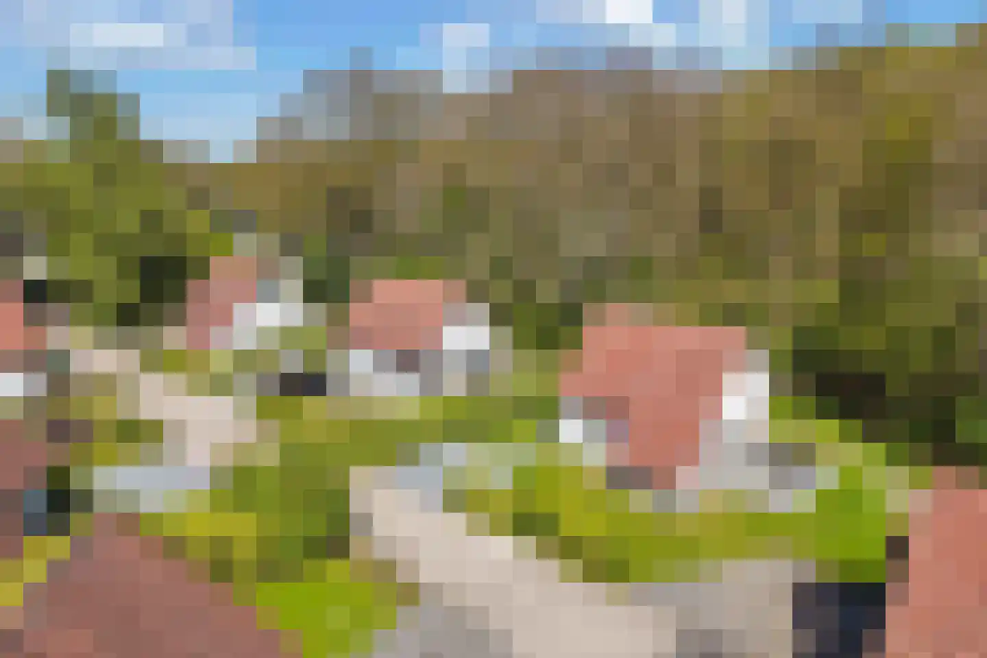 Het Bosmeer 63 Noordwolde thumbnail 34