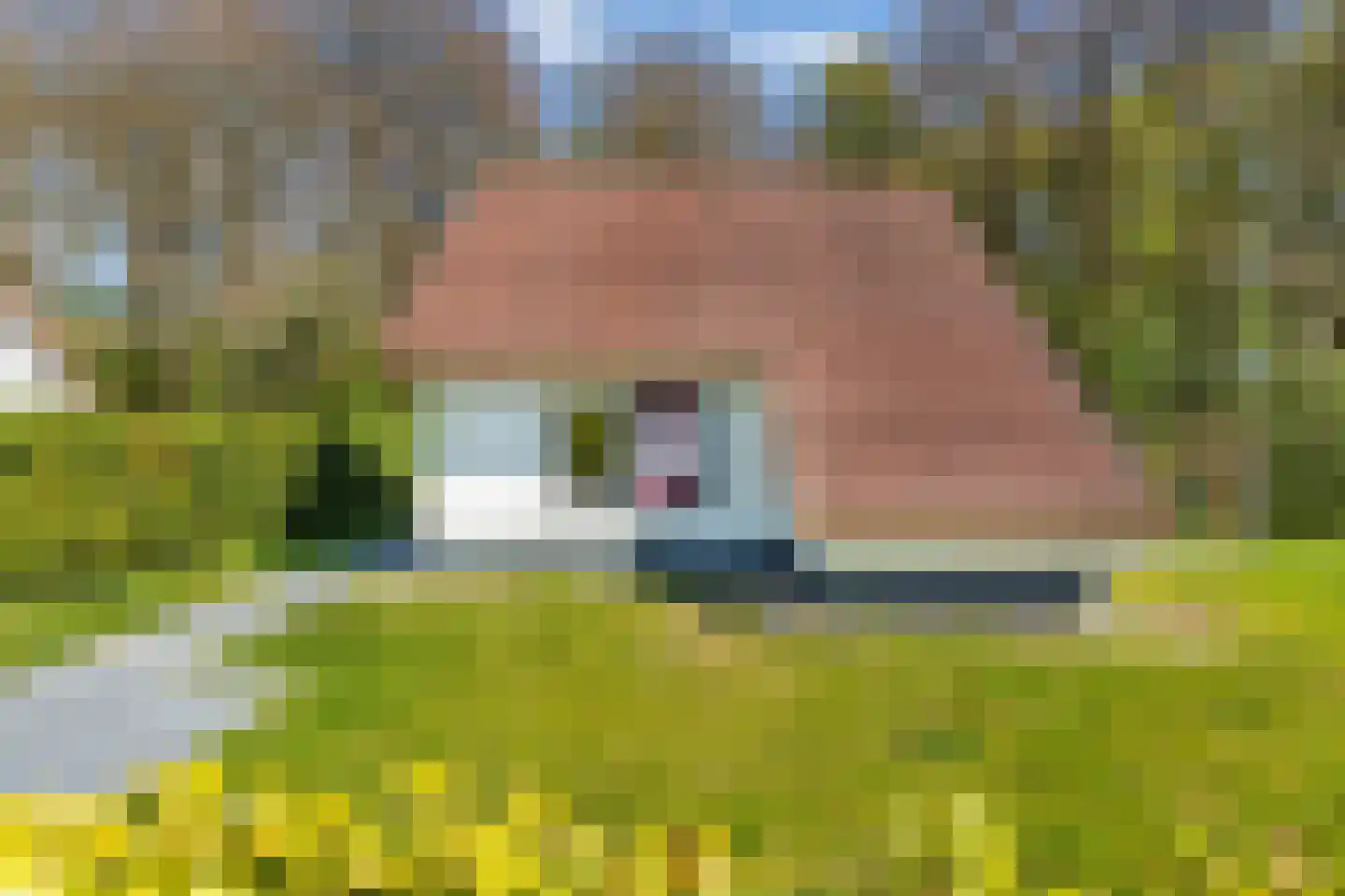 Het Bosmeer 63 Noordwolde thumbnail 35