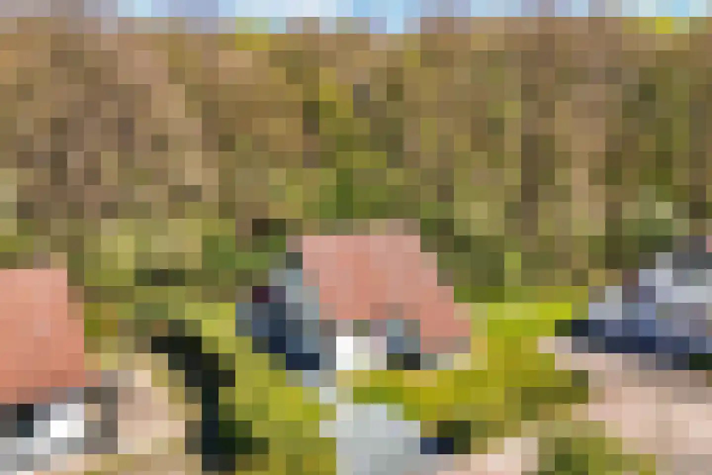 Het Bosmeer 63 Noordwolde thumbnail 36