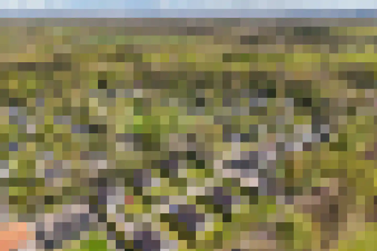 Het Bosmeer 63 Noordwolde thumbnail 37